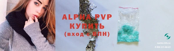 прущие крисы Надым