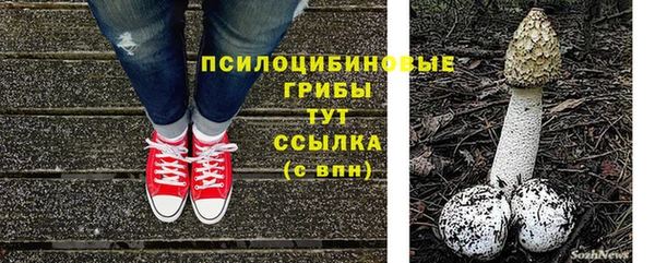 прущие крисы Надым