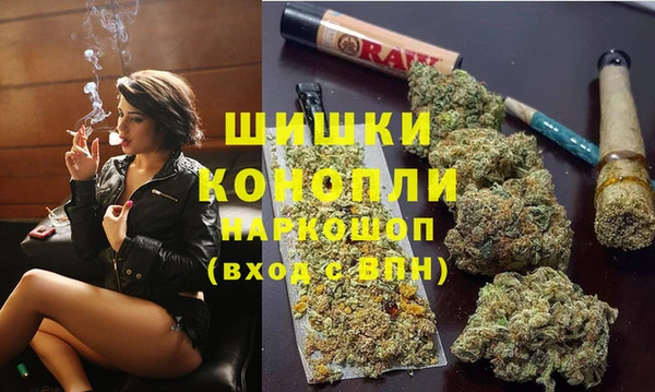 сатива Нея