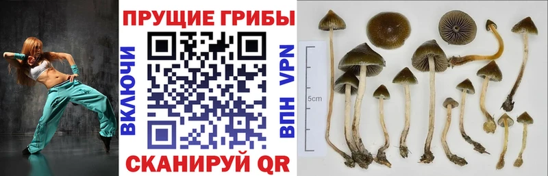 Галлюциногенные грибы MAGIC MUSHROOMS  mega вход  Козловка 